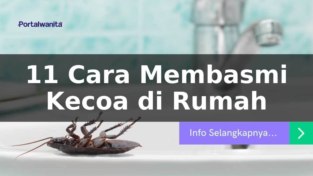 11 Cara Membasmi Kecoa