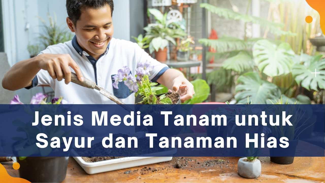 Jenis Media Tanam untuk Sayur dan Tanaman Hias