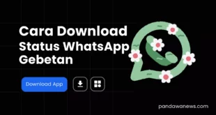 Cara Download Status WhatsApp