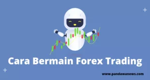 Cara Bermain Forex Trading